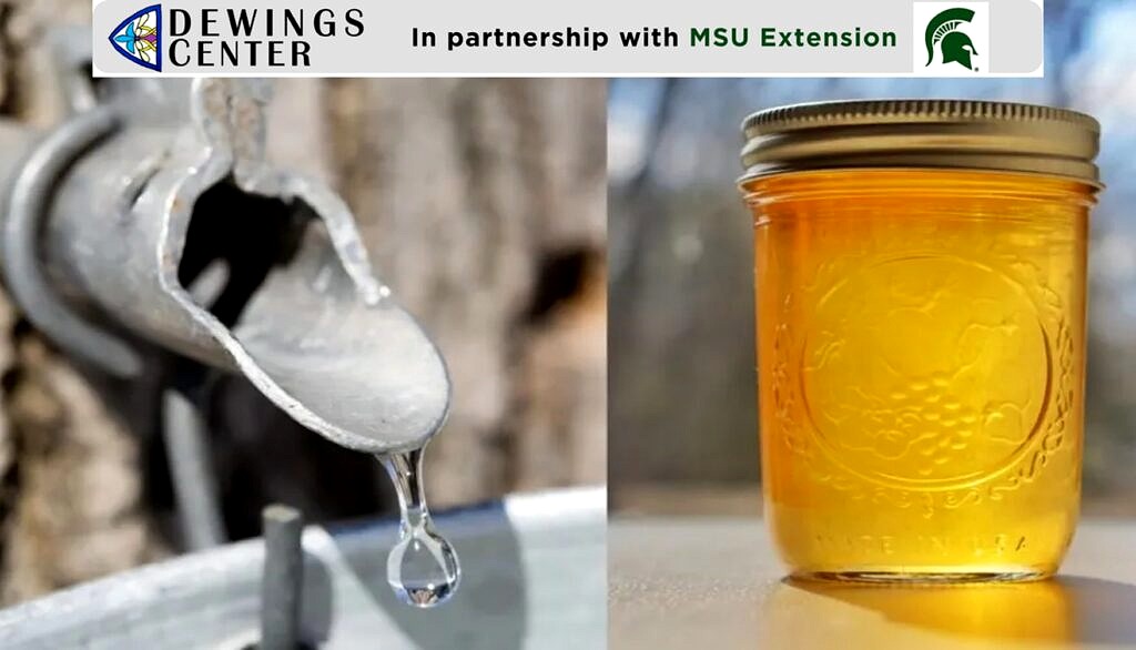 Maple Syrup - Harvest to Table   ||  Registration Needed
